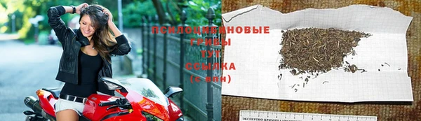 наркотики Новодвинск