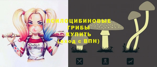 a pvp Новокубанск