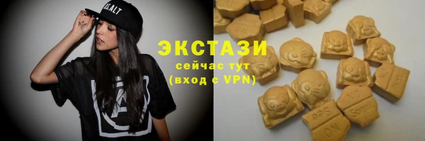 ПСИЛОЦИБИНОВЫЕ ГРИБЫ Горно-Алтайск