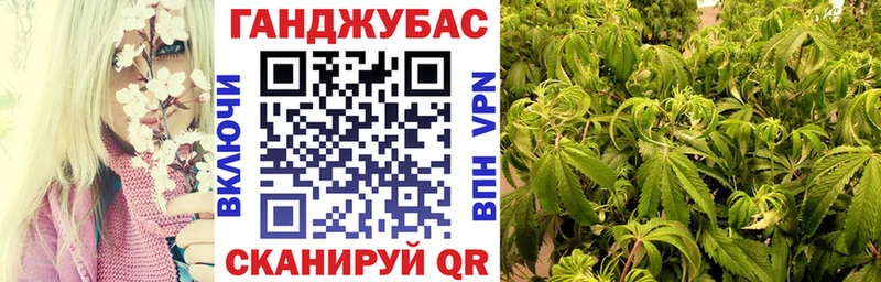 закладки  Свободный  Марихуана планчик 